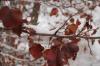 DSC_0027.JPG